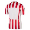 Maillot de Supporter Atlético Madrid Domicile 2025-26 Pour Homme